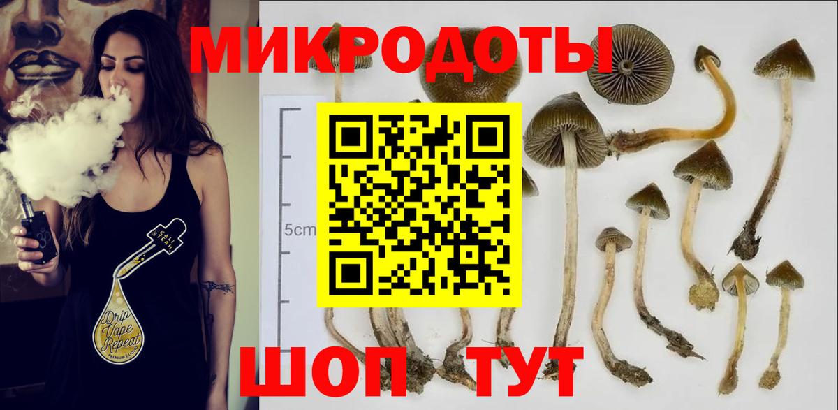 Галлюциногенные грибы Magic Shrooms Тобольск